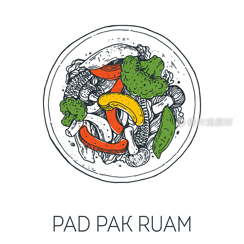 Pad Pak Ruam，泰国菜。手绘矢量插图。素描风格。前视图。的矢量插图。
